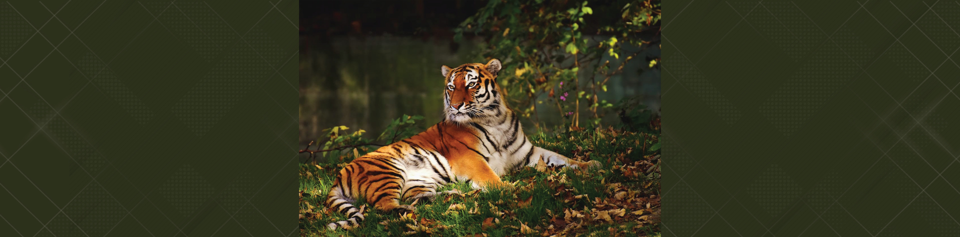slider01