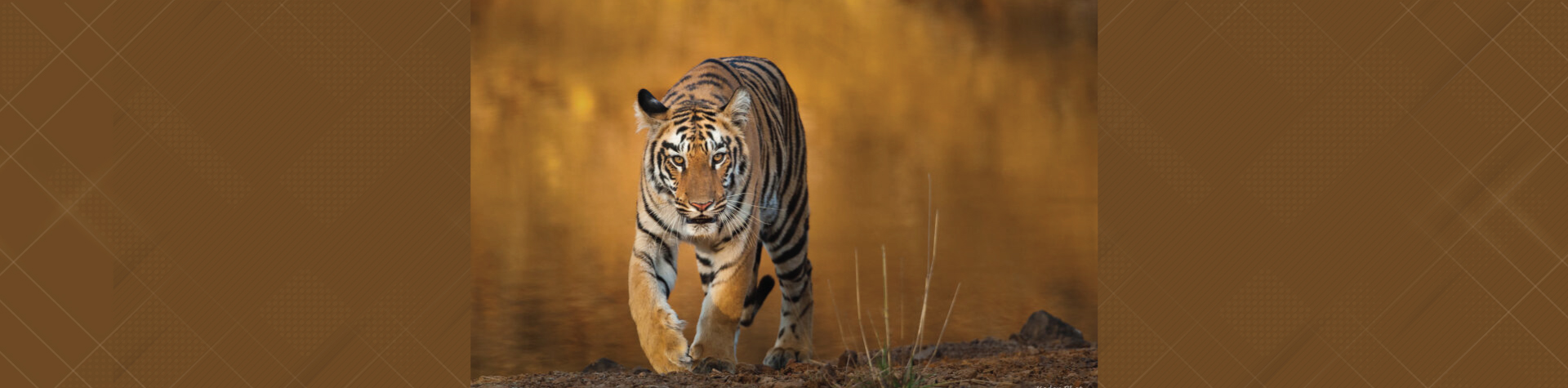 slider01
