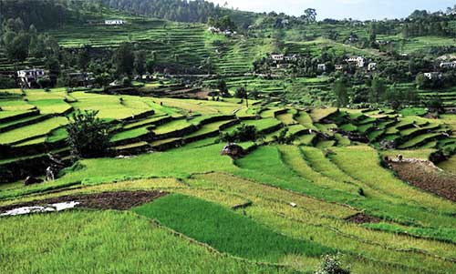Nainital-Kausani-Corbett