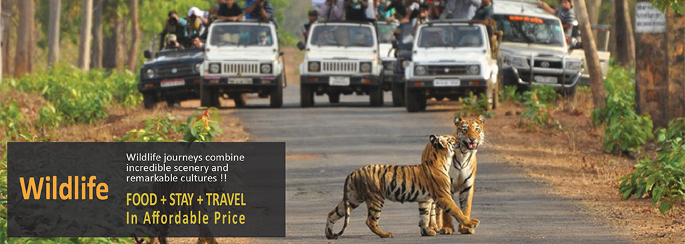 Weekend gateways around Pune